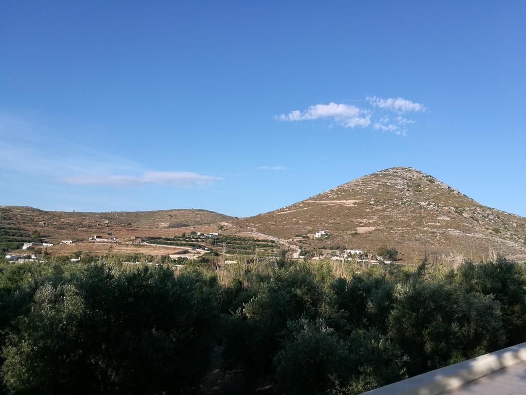 Naxos Olive & Home Εγκαρές Εξωτερικό φωτογραφία