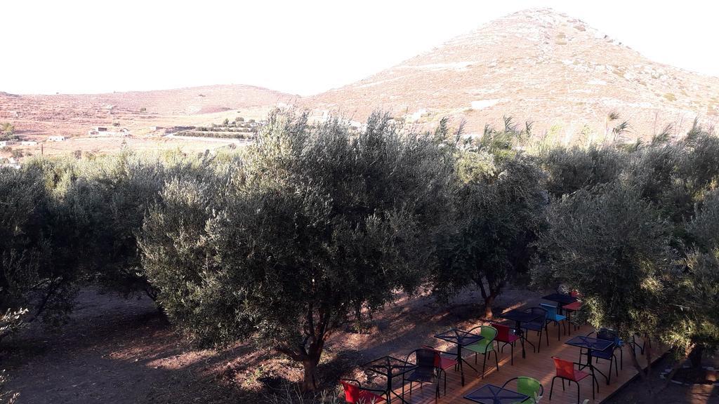 Naxos Olive & Home Εγκαρές Εξωτερικό φωτογραφία