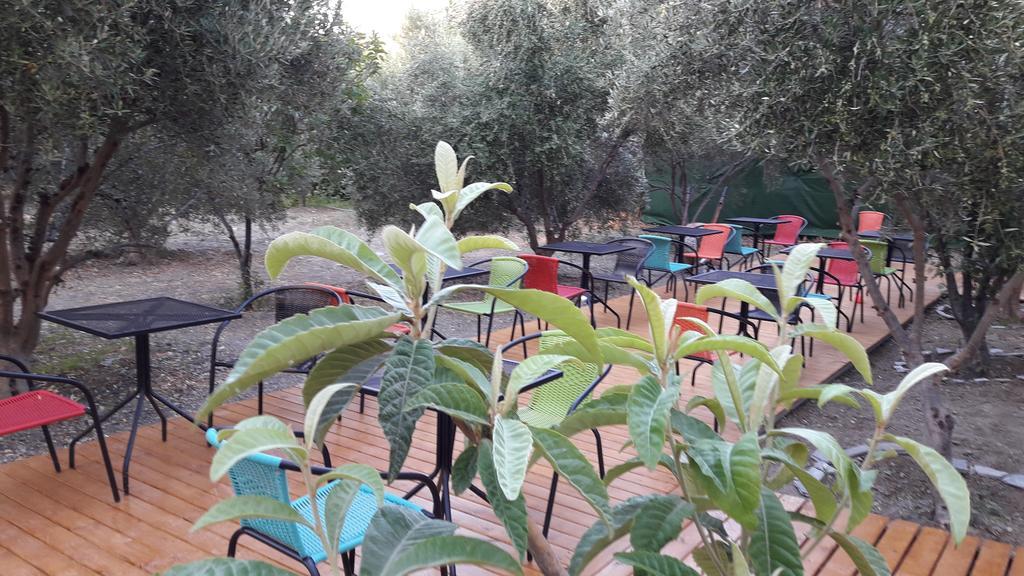 Naxos Olive & Home Εγκαρές Εξωτερικό φωτογραφία