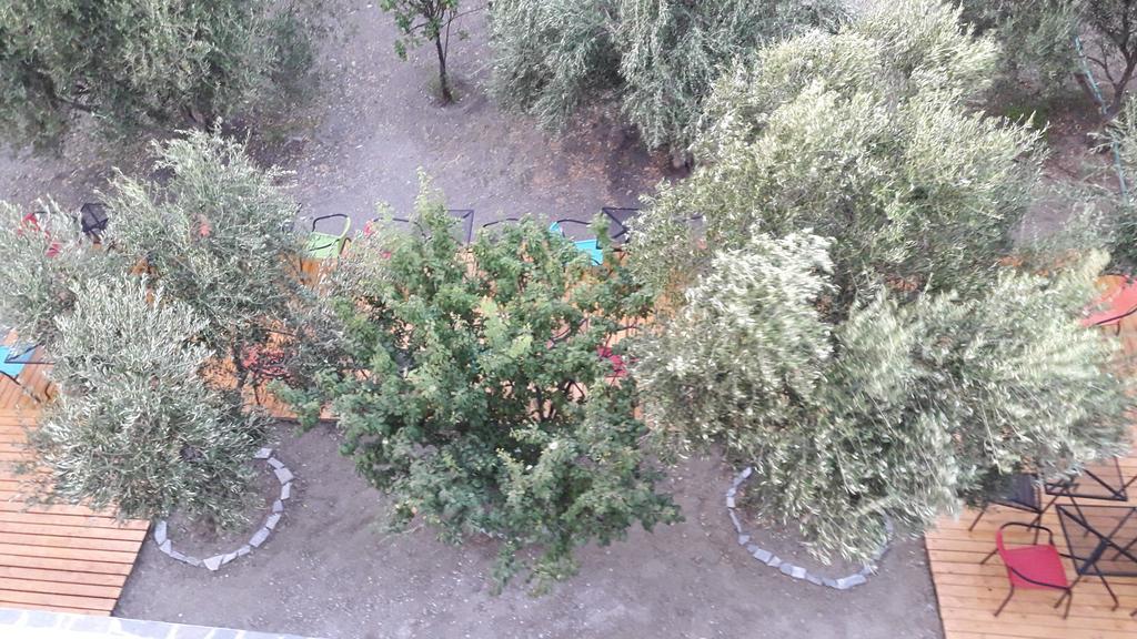 Naxos Olive & Home Εγκαρές Εξωτερικό φωτογραφία