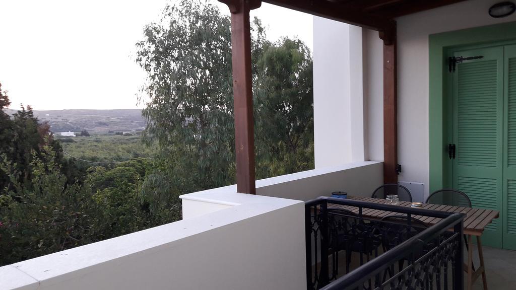 Naxos Olive & Home Εγκαρές Εξωτερικό φωτογραφία