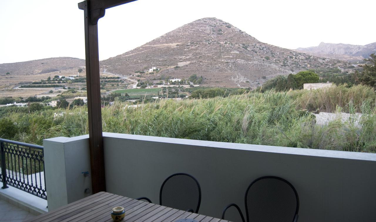 Naxos Olive & Home Εγκαρές Εξωτερικό φωτογραφία