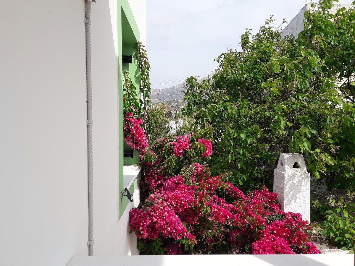 Naxos Olive & Home Εγκαρές Εξωτερικό φωτογραφία